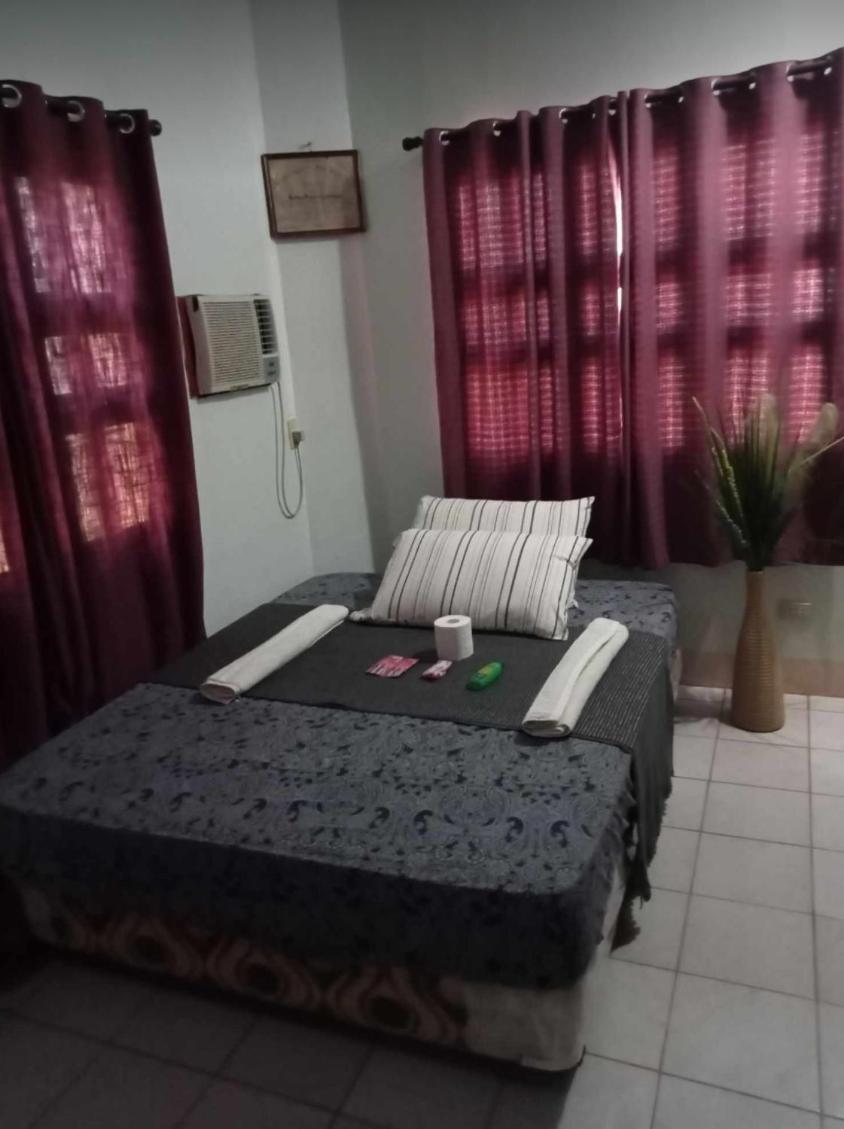 Cabrera Guest House Exgreen Bamboo Guimaras Nueva Valencia Экстерьер фото